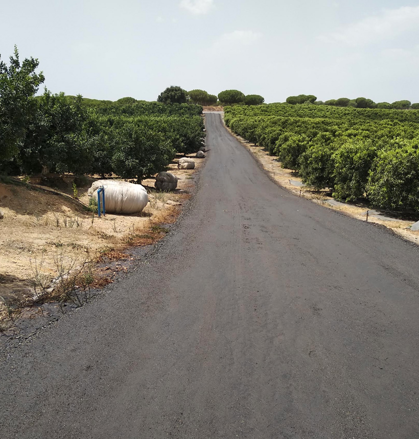 Camino con Dustex aplicado